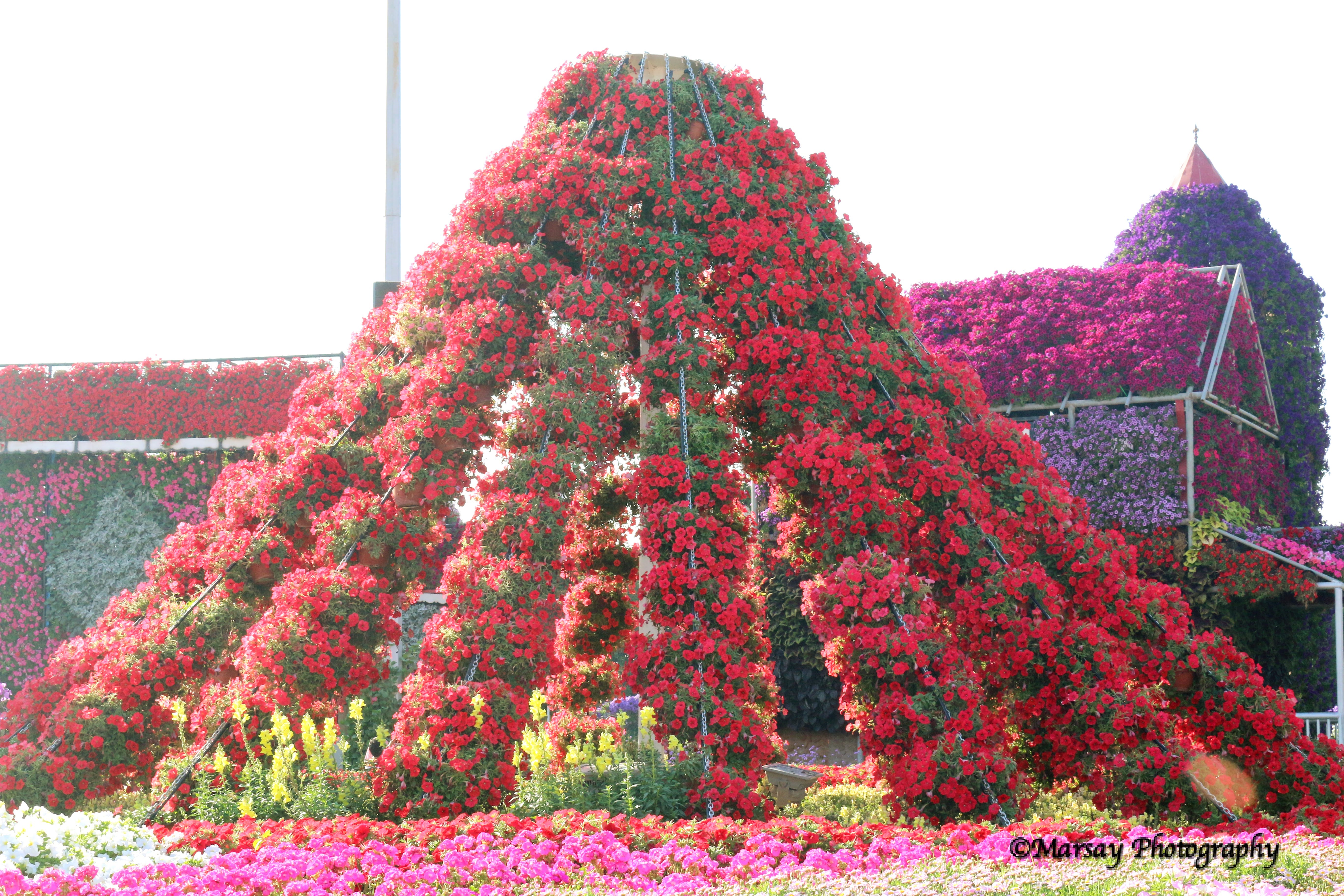 Pyramids of Floral Displays in vibrant colours.