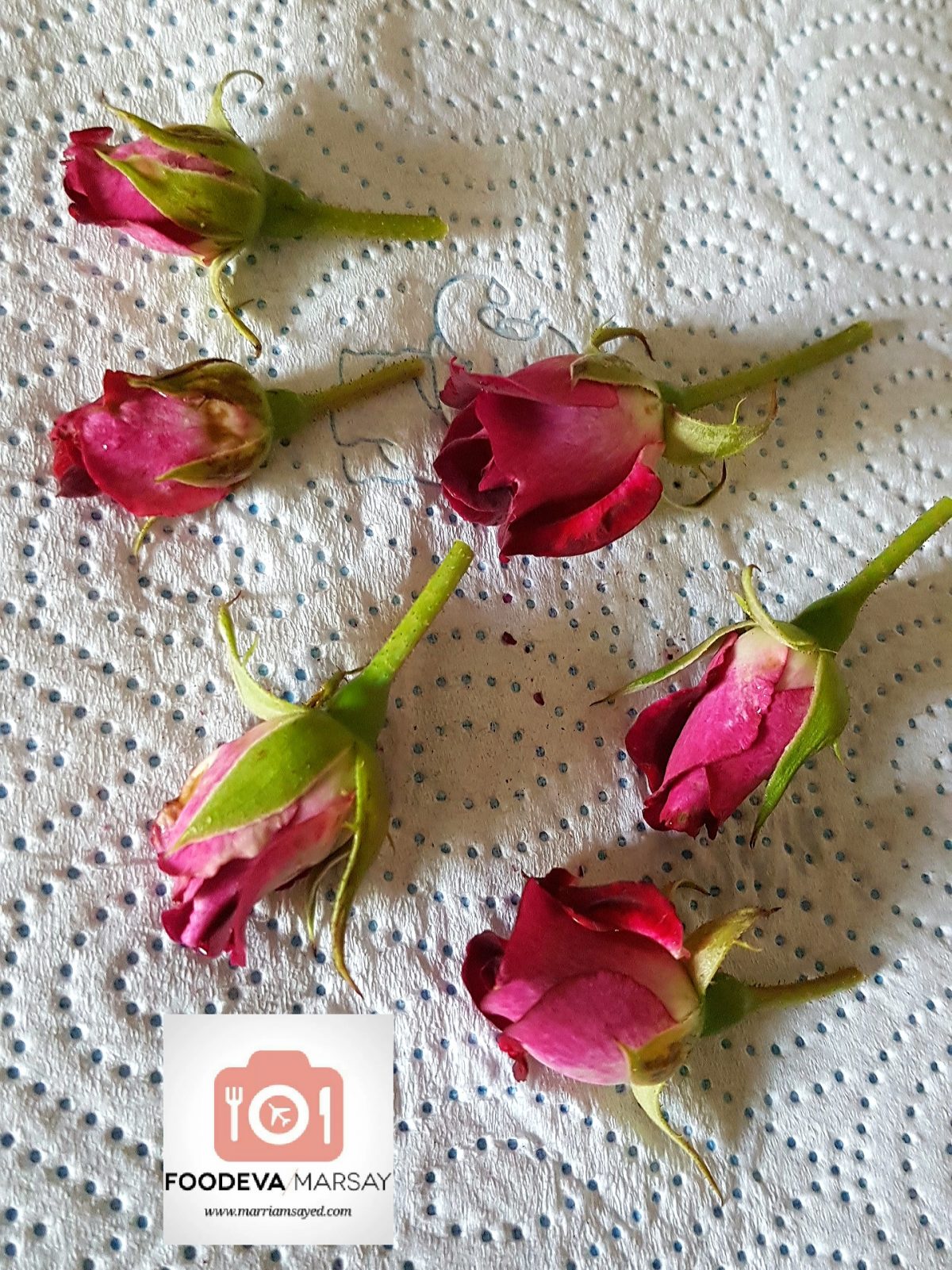 How To Harvest And Dry Rose Petals and Rose Buds DIY Foodeva Marsay