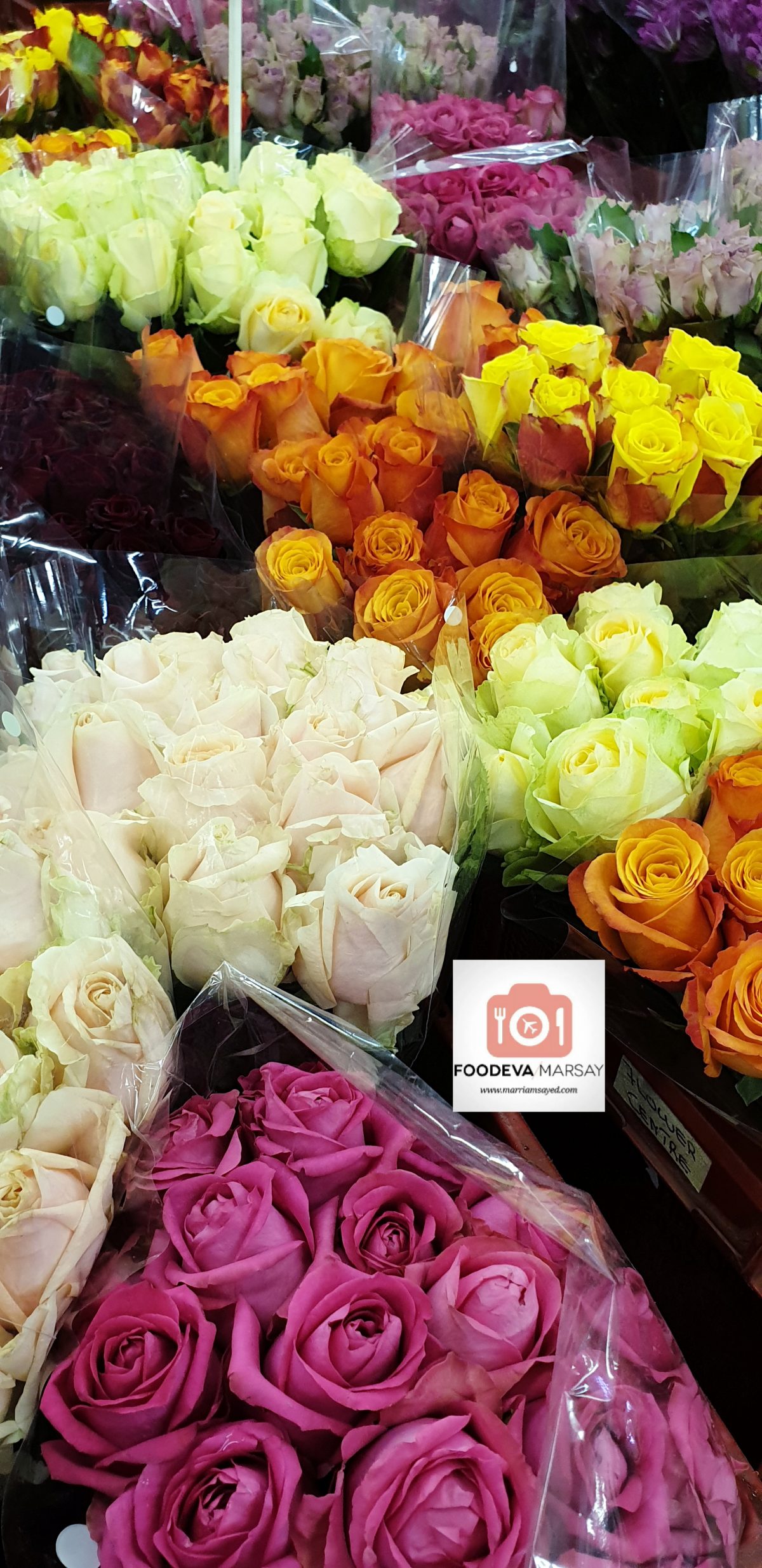 MULTIFLORA FLOWER MARKET THINGS TO DO IN JOHANNESBURG Foodeva Marsay